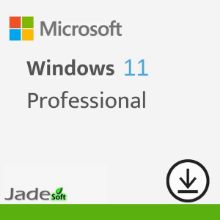 Windows 11 Pro	