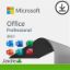 Office Professional 2021		