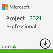 Project Professional 2021		