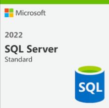 SQL SERVER 2022 STANDARD
